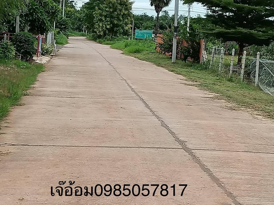 ที่ดิน หนองตากยา อ.ท่าม่วง จ.กาญจนบุรี. 150ตารางวา