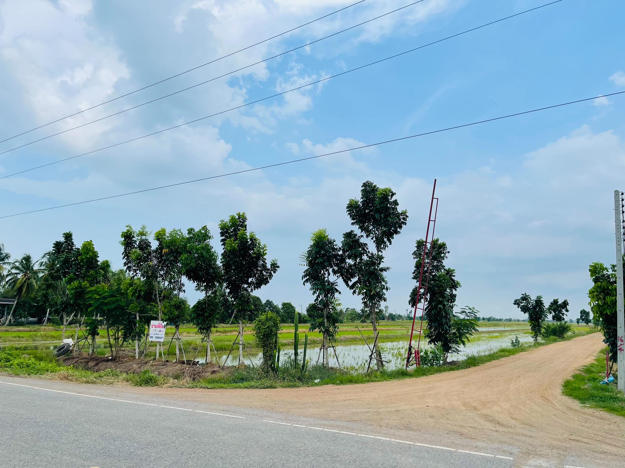 ที่ดินเปล่า องครักษ์ นครนายก 0-1-68