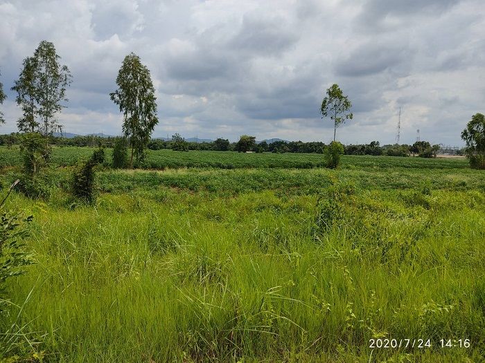 ขายที่ดินหรือให้เช่าระยะยาว หน้ากว้างมากติดถ.สุวรรณศรจ.สระแก้ว7ไร่ เหมาะทำปั๊มนำ้มัน