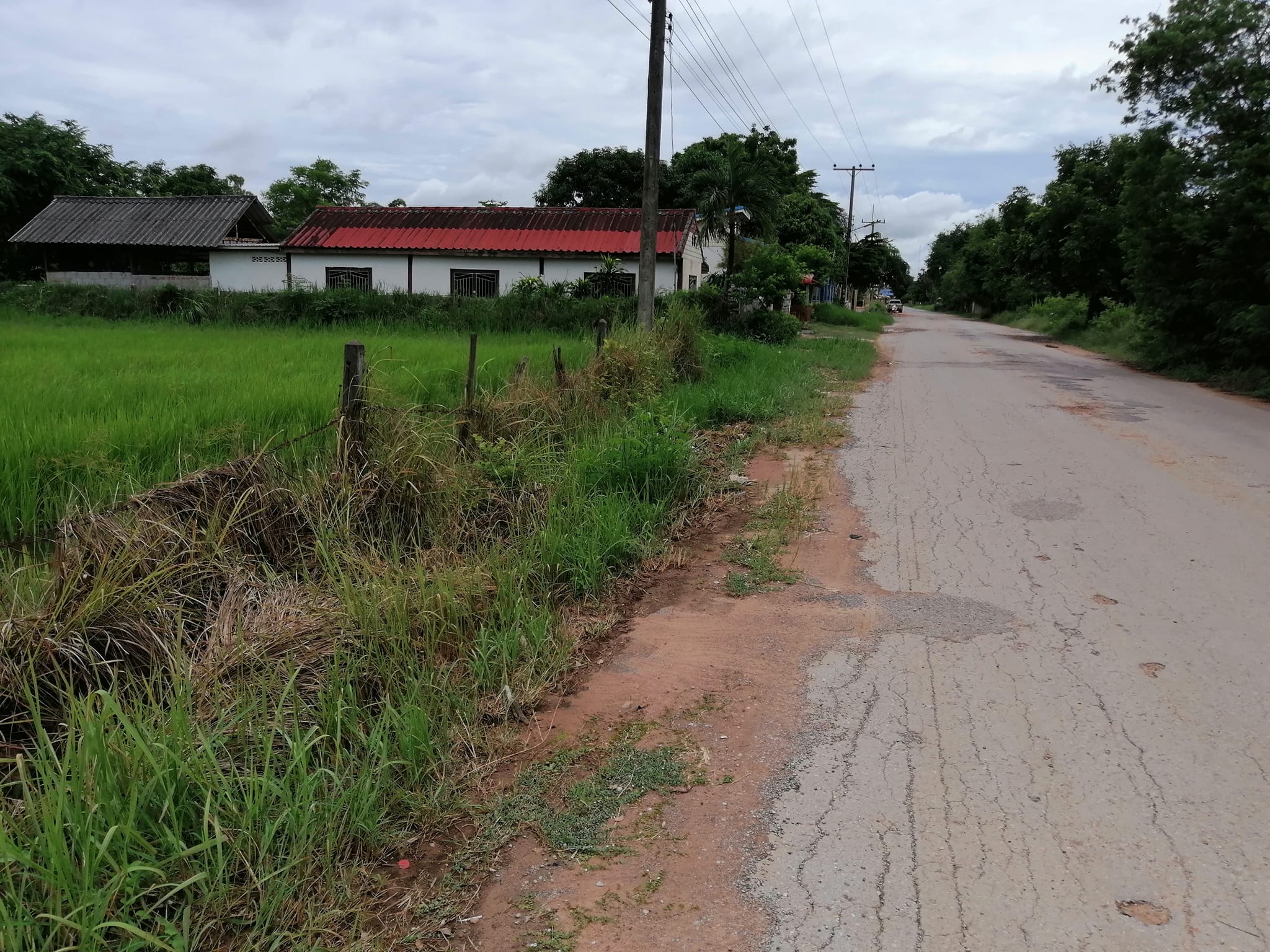ขายที่ดินขอนแก่น เมืองขอนแก่น 2-1-43.4