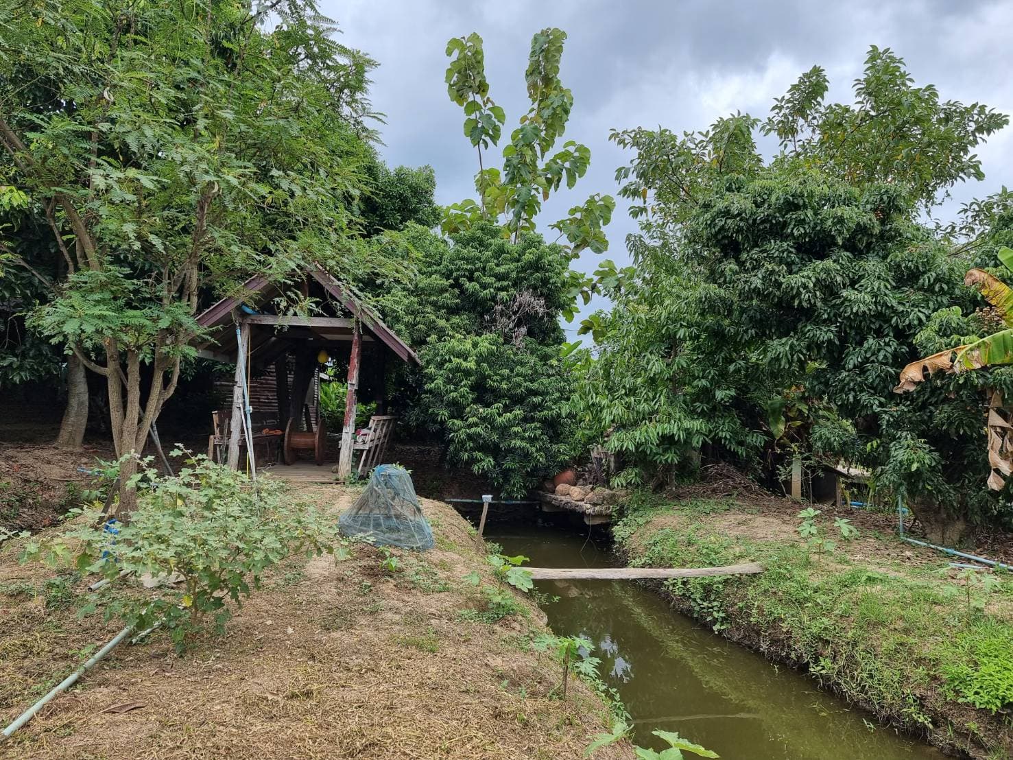 ที่ดินพร้อมบ้านสวน อ.สารภี จ.เชียงใหม่ 1-1-96 ไร่