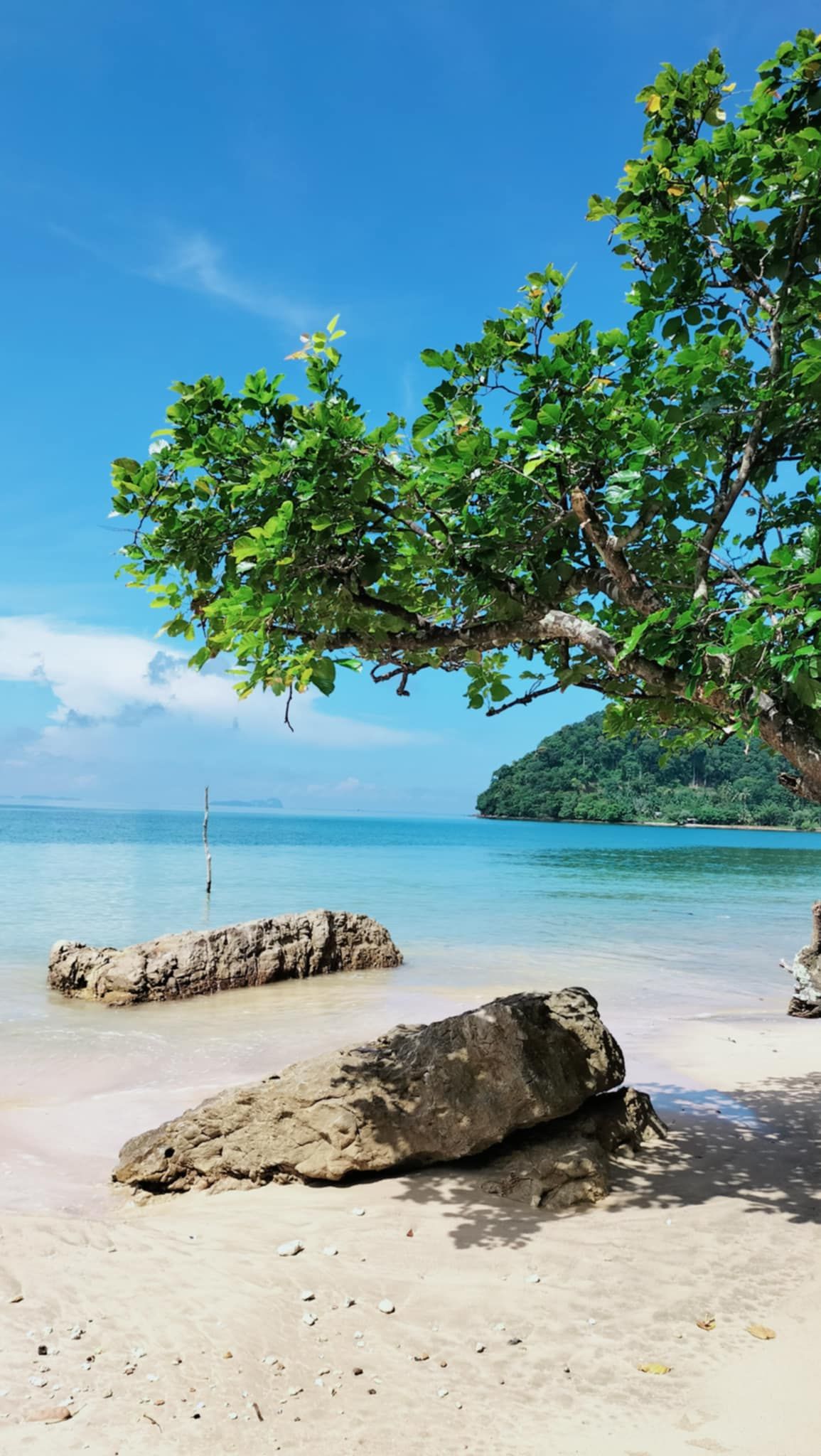 ที่ดินพร้อมบ้าน (เกาะปู) กระบี่