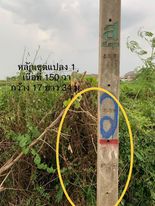 ที่ดินแปลงสวย ปทุมธานี 150 ตร.ว