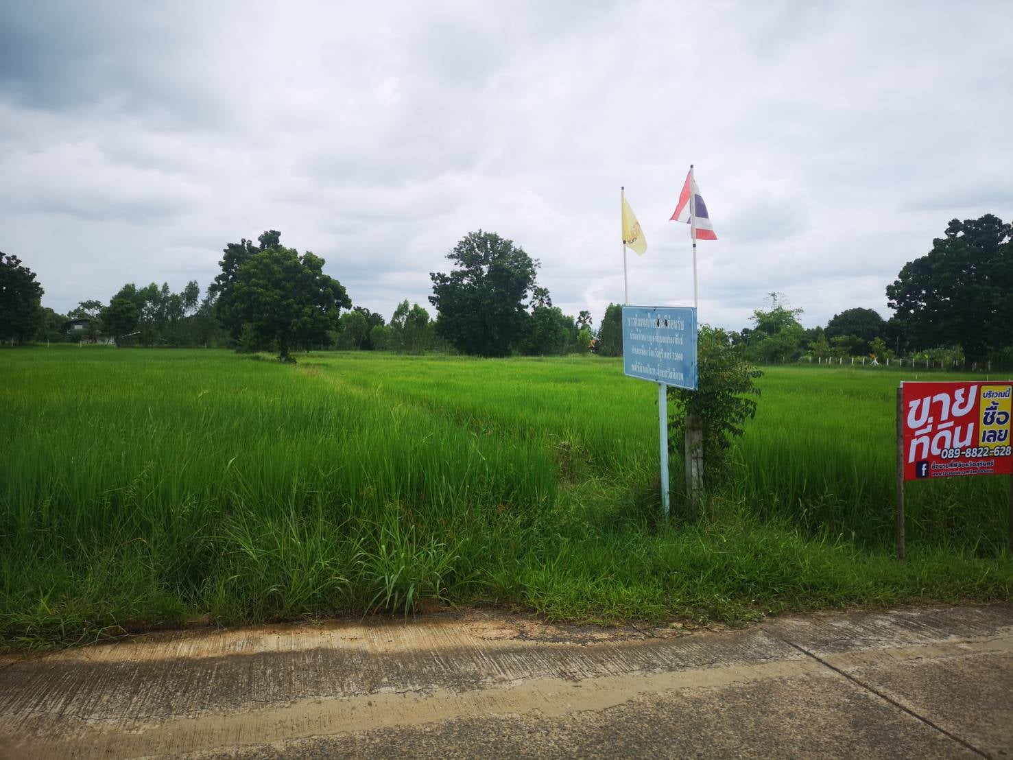 ที่ดินเปล่าที่นา เมืองสุรินทร์ 1-2-0