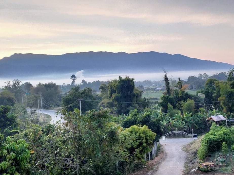 ที่ดินพร้อม(สวนพิกุลการเกษตร) น่าน 15-2-84