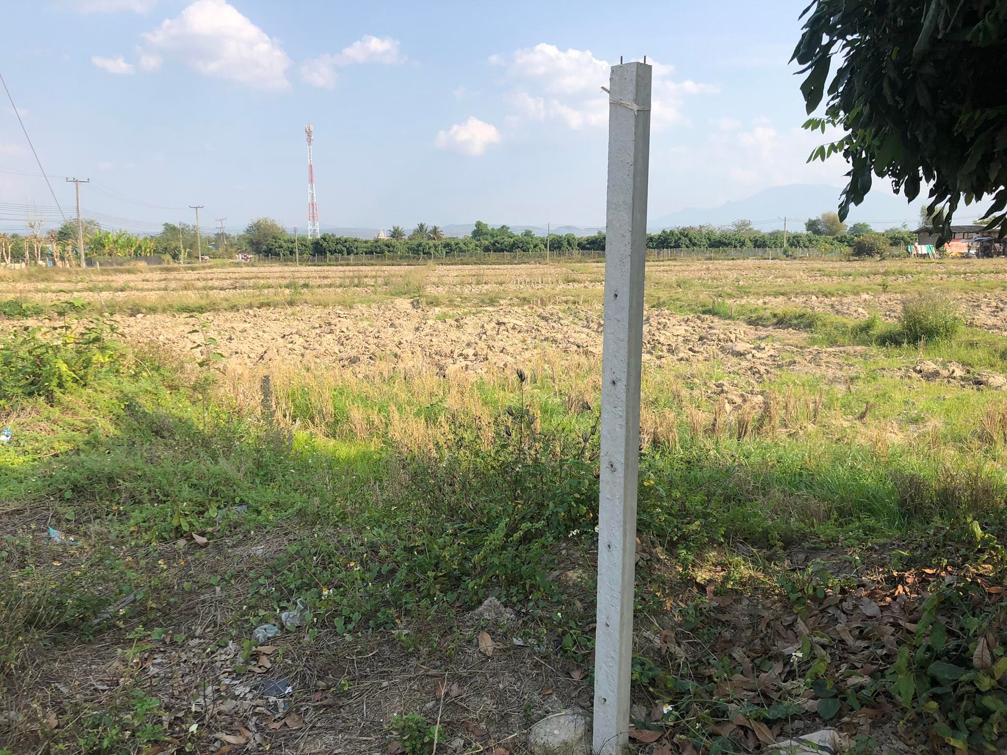 ที่ดินแปลงสวย ใกล้แหล่งชุมชนเห็นวิวดอยอ่างขาง  อ.ฝาง จ.เชียงใหม่ 3-3-52 ตร.ว.