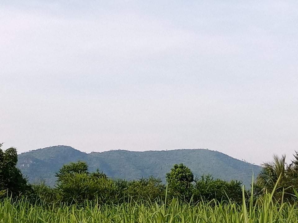 ที่ดินวิวเขา เพชรบุรี 2-3-91