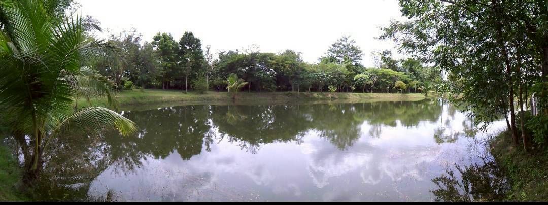 ที่สวยราคาถูก