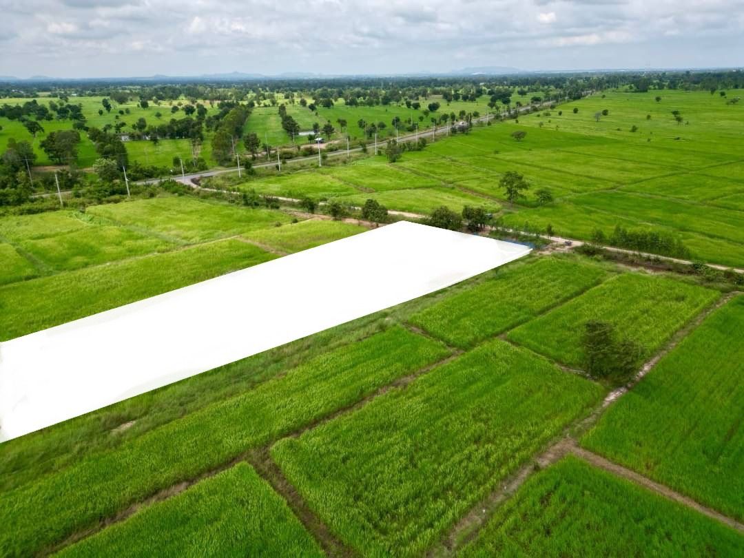 ขายที่ดินลพบุรี เปิดผ่อน ผ่อนตรงกับเจ้าของ ติดถนนสาธารณะ เป็นที่เอกสาร น.ส.3ก. แบ่งขาย แปลงละ 1 งาน บรรยากาศดีมาก สระโบสถ์ 0-1-0 ไร่.
