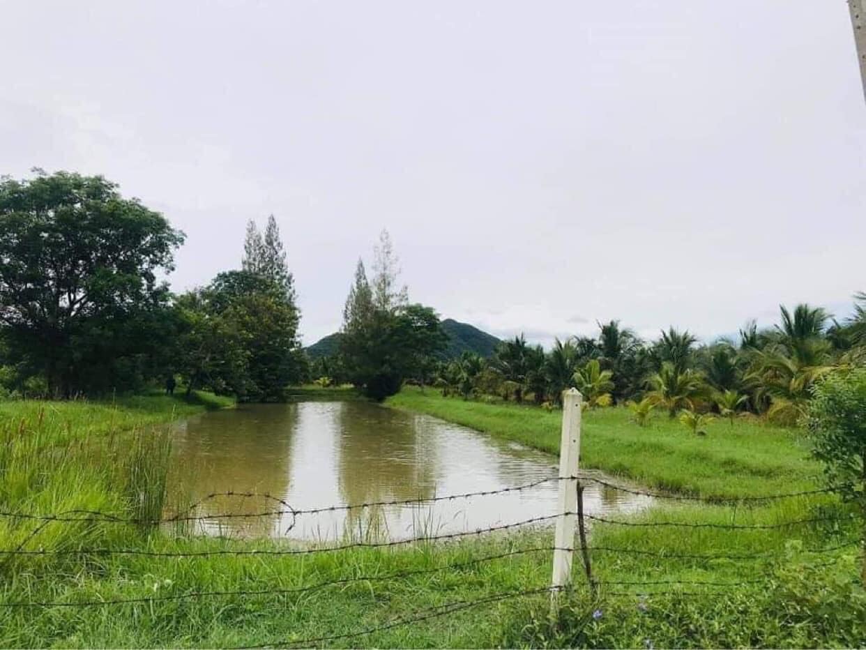 ขายที่ดินประจวบฯ กุยบุรี 8-0-46