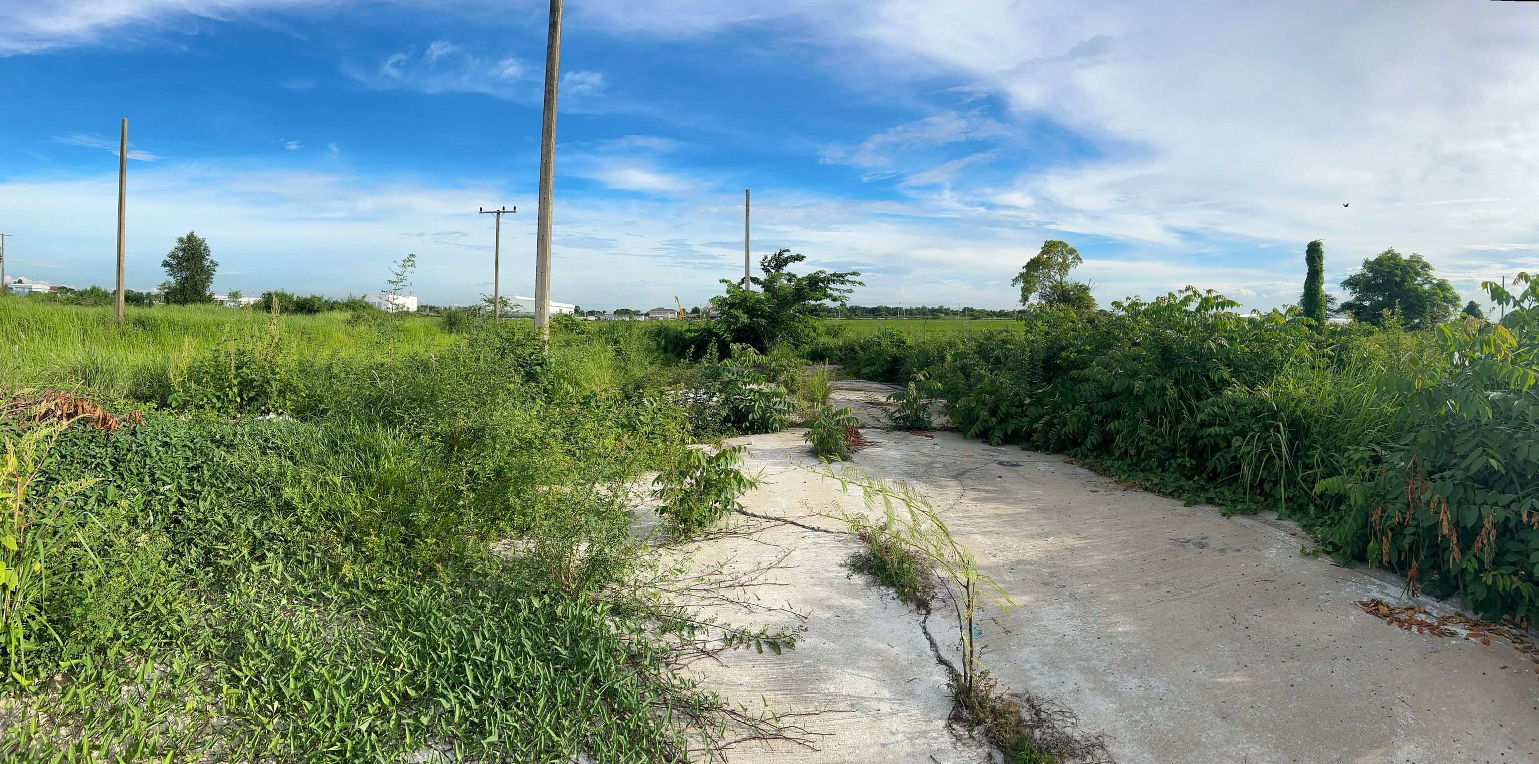 ขายที่ดินปทุมธานี ใกล้ชุมชน เดินทางสะดวก คลอง11 ลำลูกกา