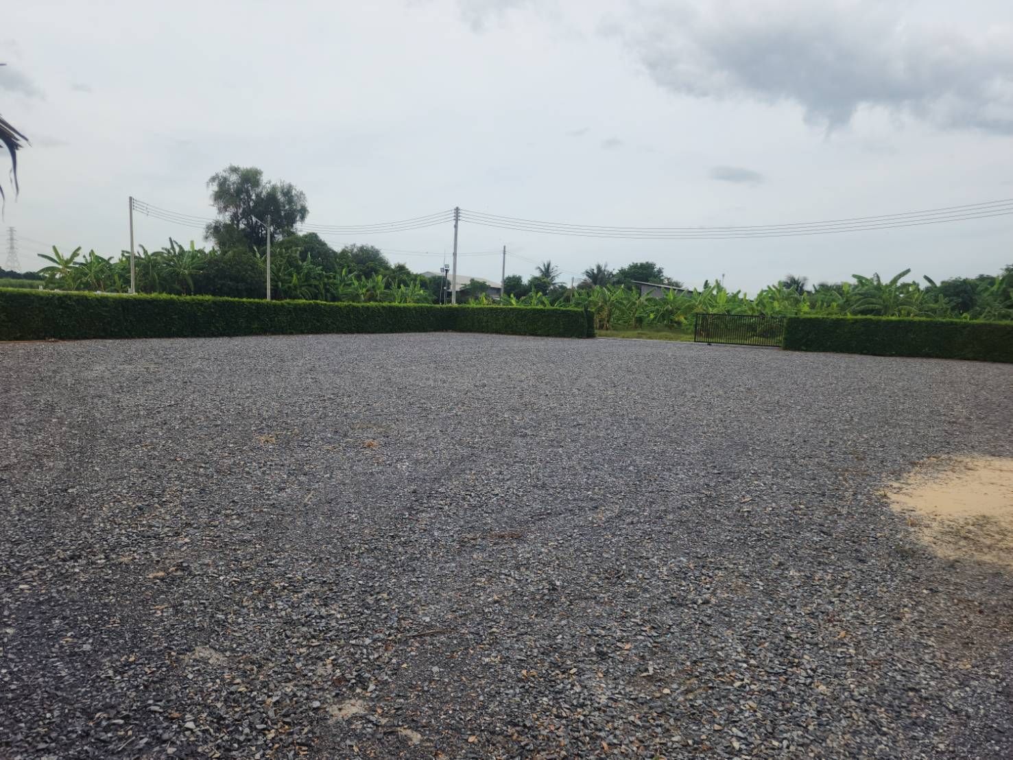 ขายที่ดินนครปฐม กำแพงแสน ที่ดินบรรยากาศดีใกล้ทางด่านm81