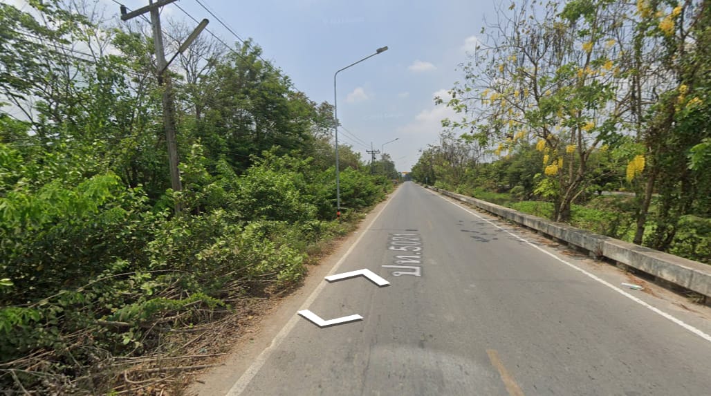 ที่ดินแปลงยาว หนองเสือ ปทุมฯ 50-0-0