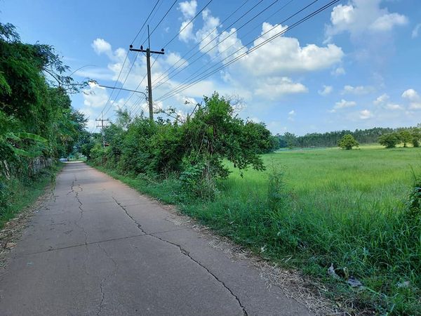 ที่ิดินเปล่า ปราจีนบุรี 9-1-32