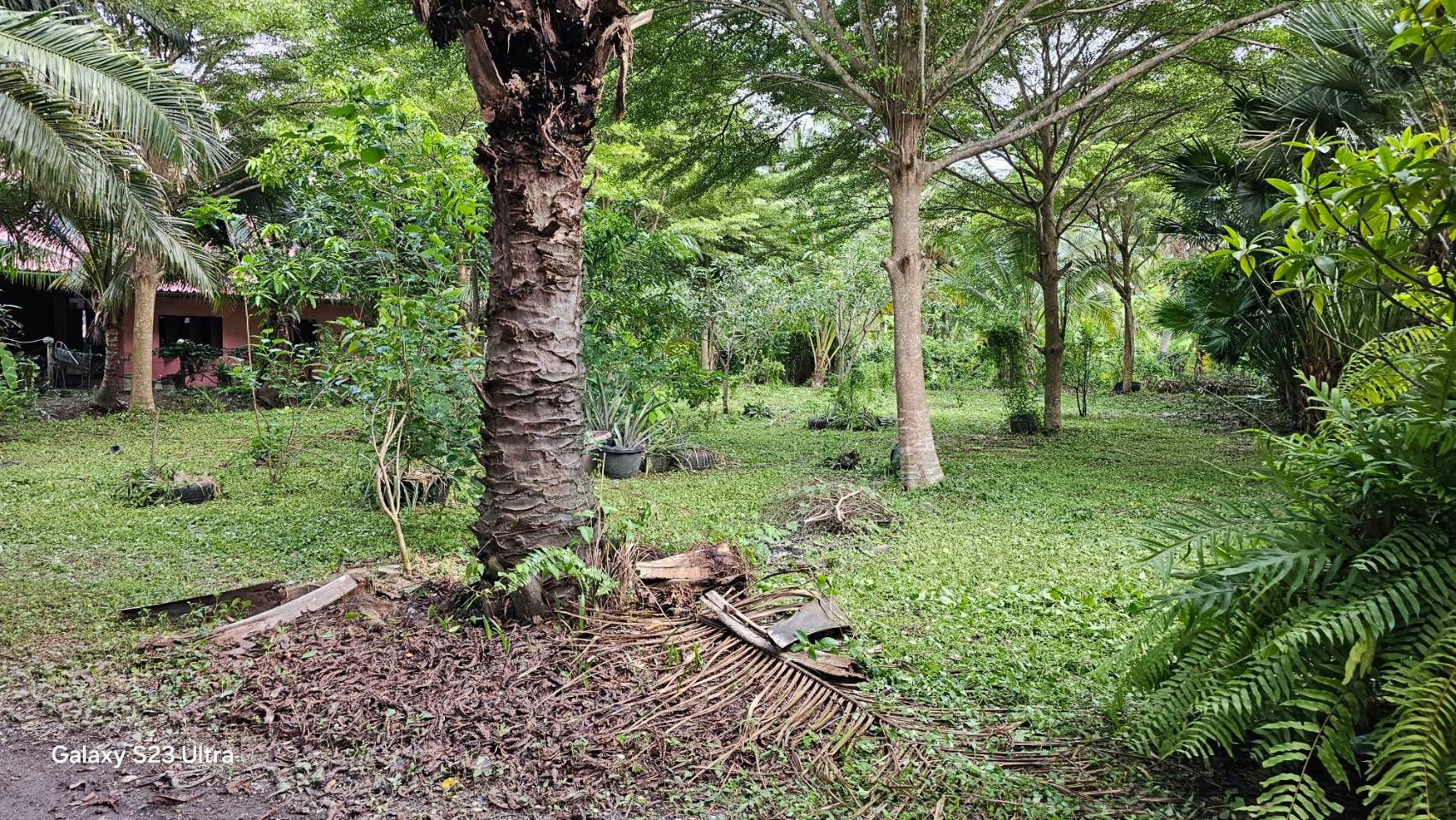 ขายที่ดินติดชายคลอง เป็นที่สวนถมแล้ว เหมาะกับการปลูกบ้าน ทำสวนเกษตร 