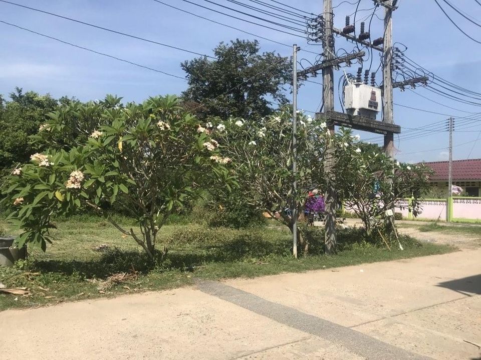ที่ดินติดทะเลเกาะมะพร้าว เมืองภูเก็ต 1-0-99.9