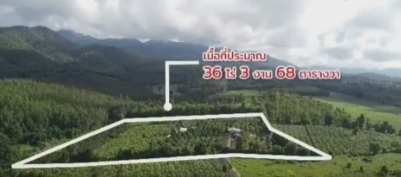 ขายที่ดินสวนทุเรียน สวนผสม โฉนด น.ส.4จ 36-3-68ไร่ ต อินทขิล อ.แม่แตง จ.เชียงใหม่