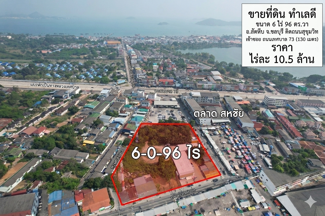 ขายที่ดินทำเลมังกรทอง