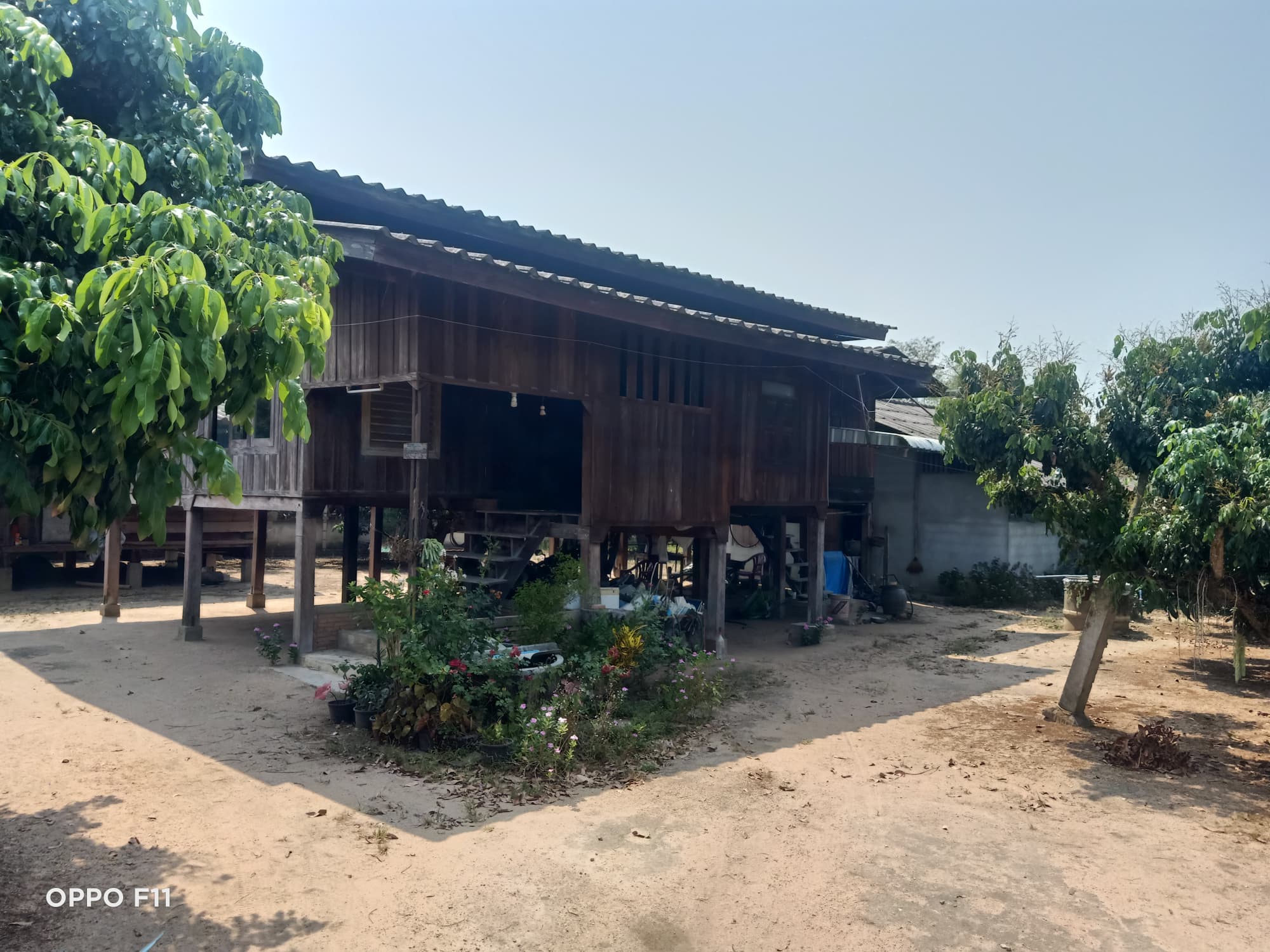 ขายบ้านไม้สัก พร้อมที่ดิน  อ.พร้าว จ.เชียงใหม่ 1-0-52 ไร่