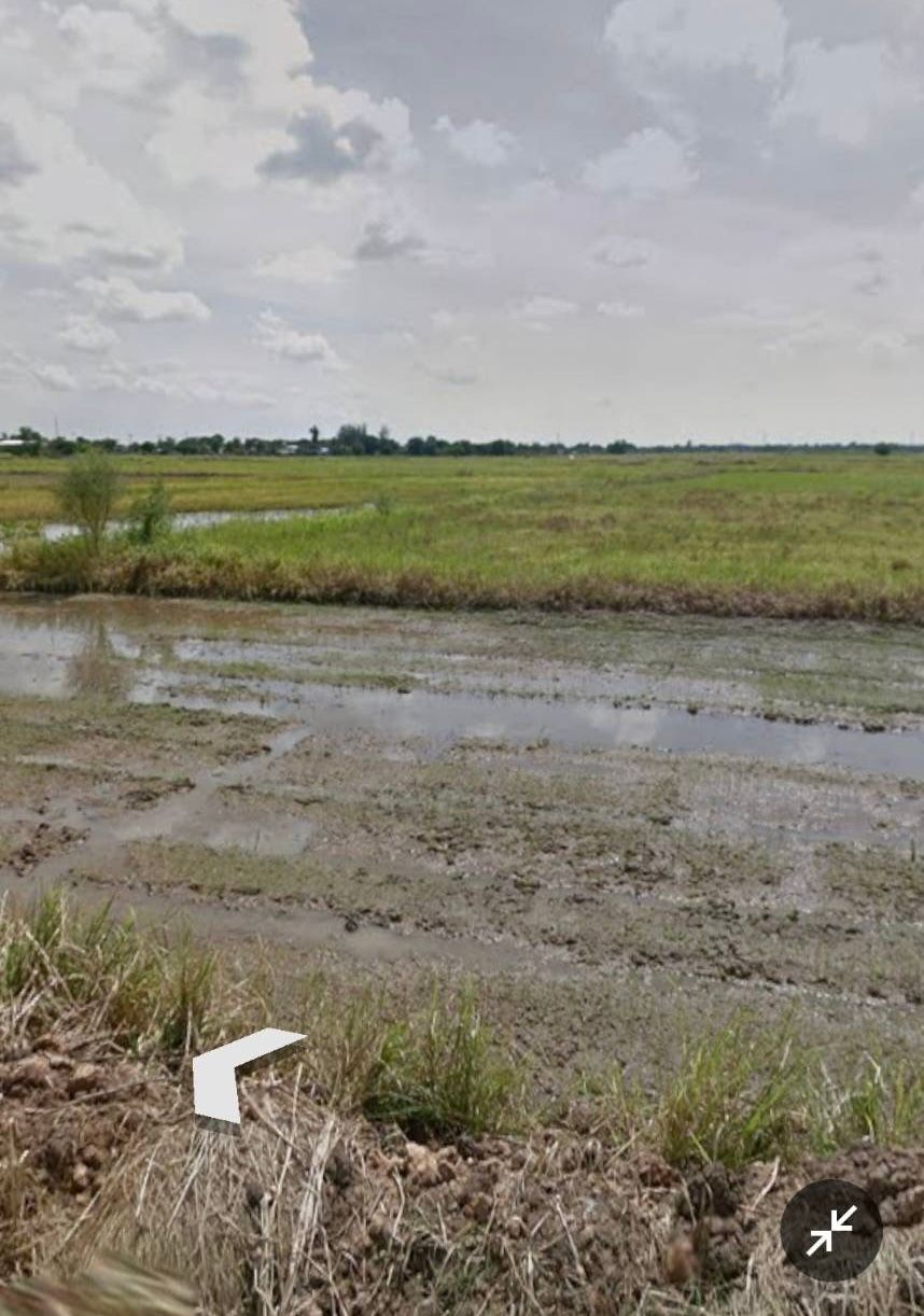  ขายที่ดินอยุธยา นครหลวง มีทางออกนะครับไม่ใช่ที่ตาบอด ได้ซื้อทางออกแล้วครับ