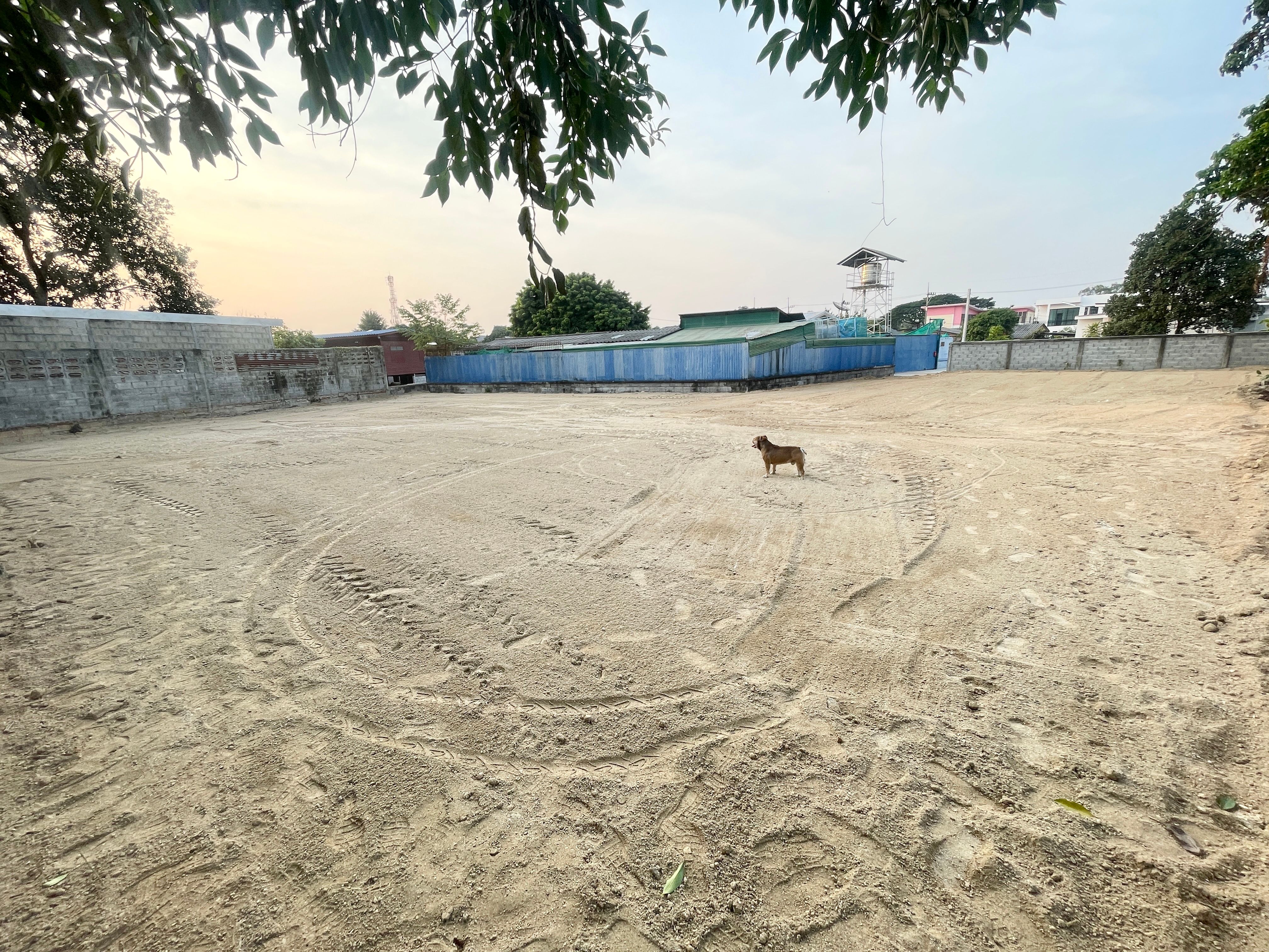 ขายที่ดินหนองปรือ ชลบุรี 402 ต.ร.ว.