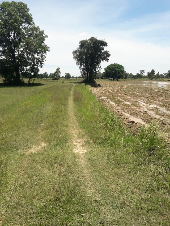 ขายที่ดินบุรีรัมย์ เมืองบุรีรัมย์ 98-0-65ตารางวา