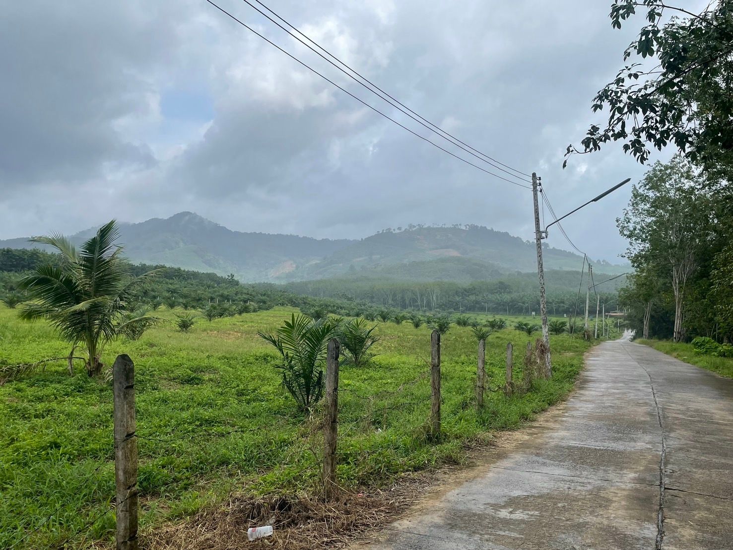 ขายที่ดินพังงา อำเภอตะกั่วทุ่ง ที่ดินแปลงสวย ทำเลดี ติดรีสอร์ท สาธารณูปโภคครบครัน พร้อมลงทุนได้ทันที 17-2-38 ไร่.