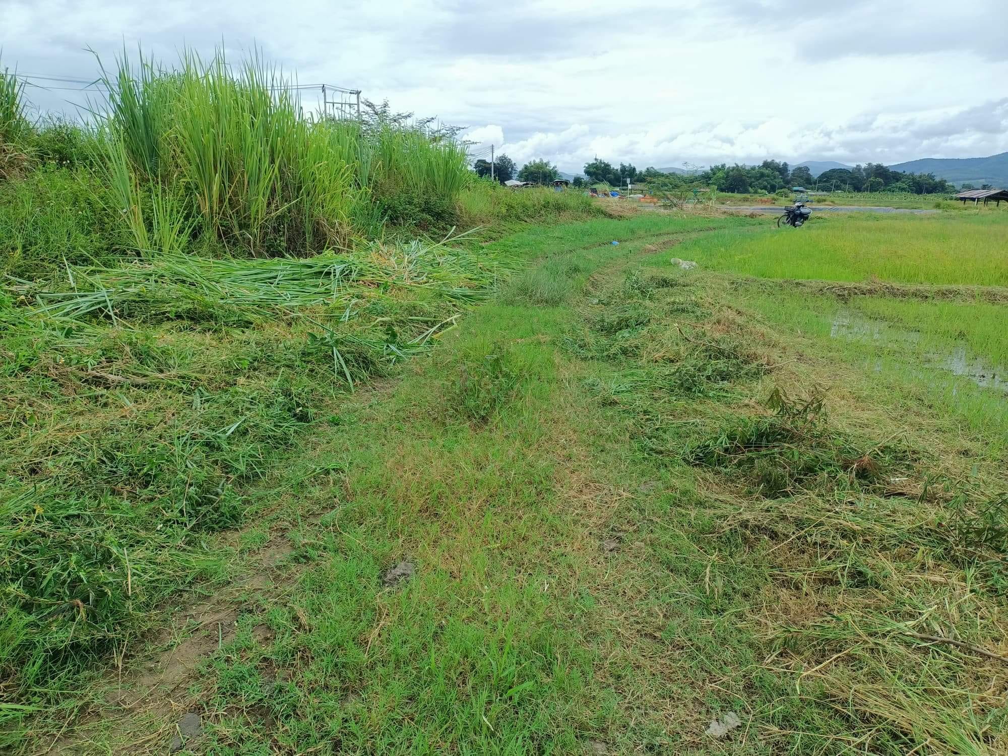 ที่ดิน วิวสวยใกล้เมือง ที่ดินตั้งอยู่โซนอำเภอสันทราย เชียงใหม่ 4-1-97 ไร่