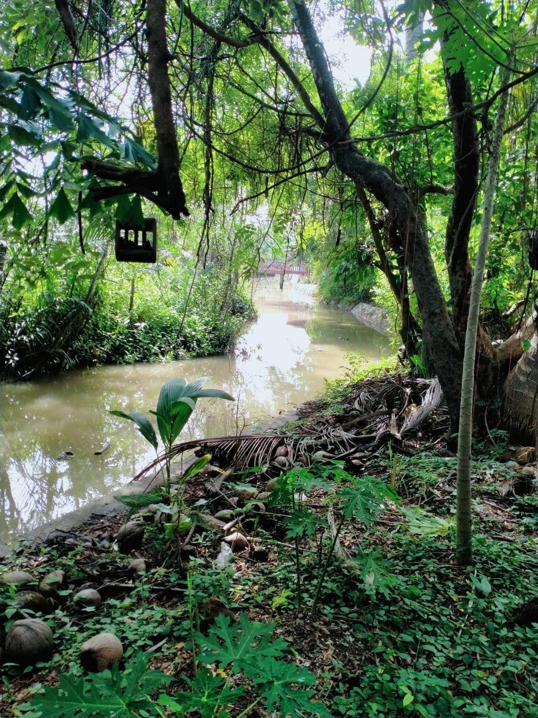 ที่ดินบางเปล่าสมุทรสงคราม 7-3-60