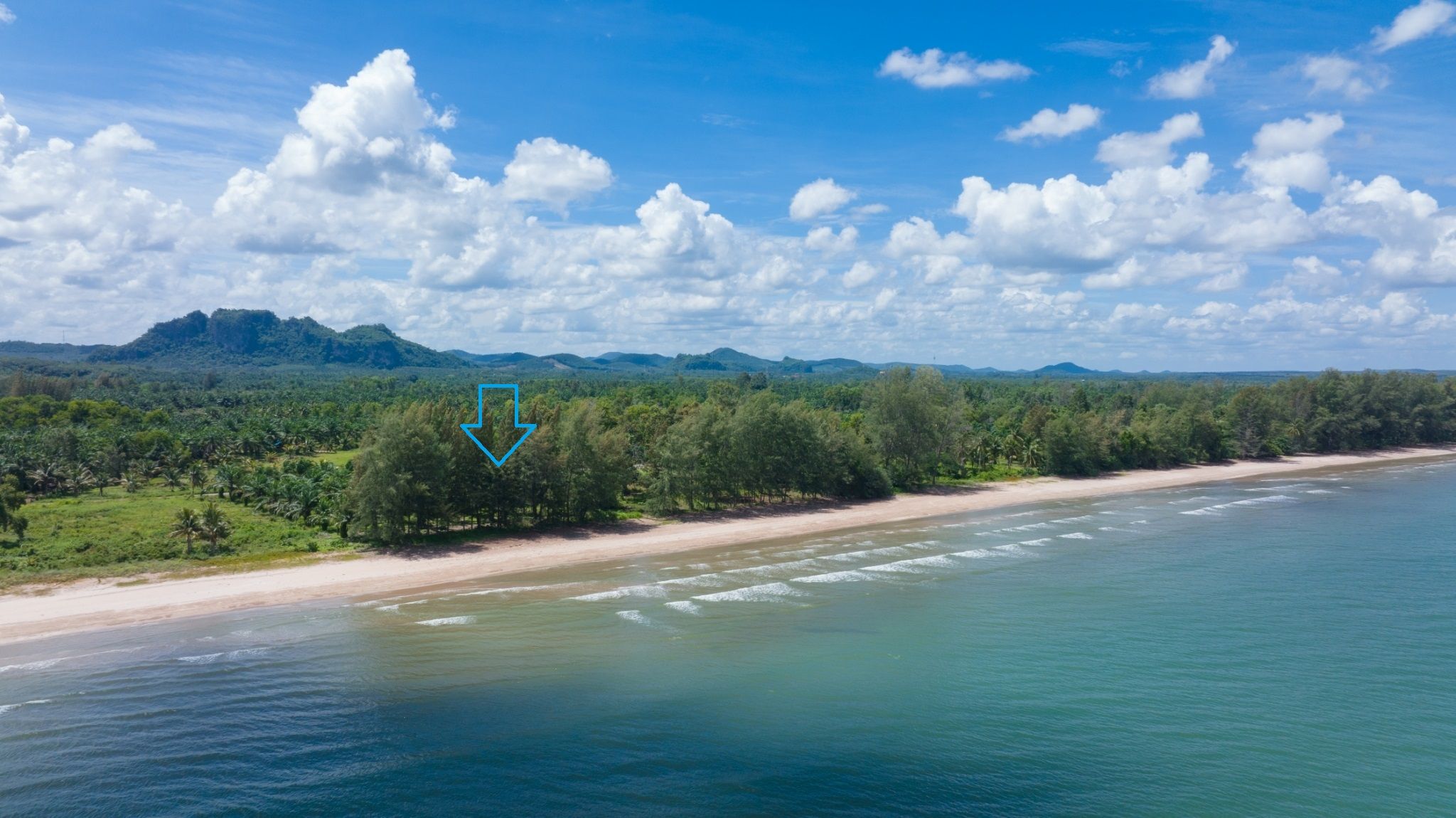 ที่ดินสวยติดทะเลหาดหน้าทับ อ่าวบางสน หน้าทะเลกว้าง 80 ม.
