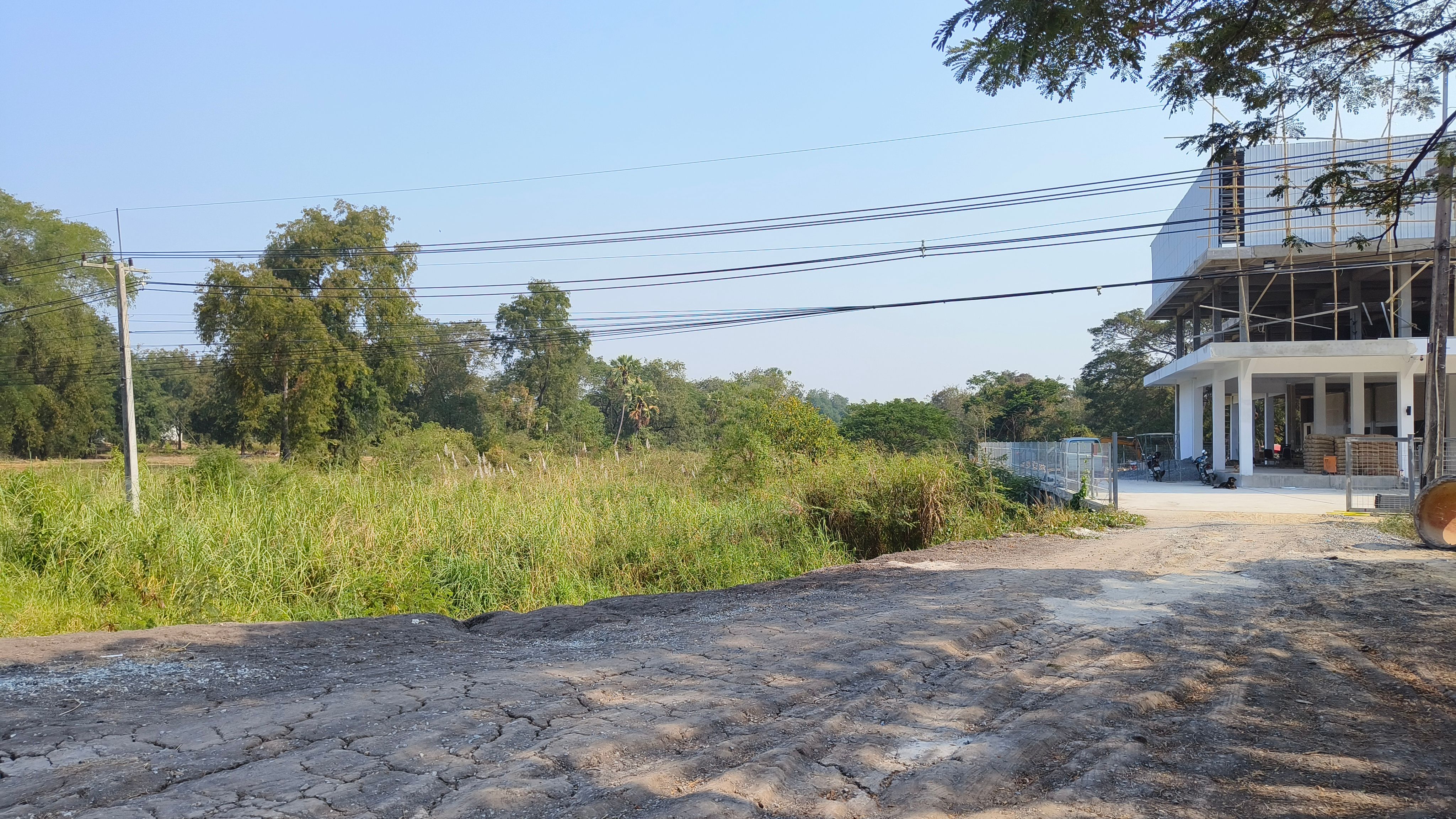 ขายด่วน ที่ดินทำเลทอง 3 ไร่เศษ ติดถนนสายเอเชีย ใกล้เมืองอ่างทอง