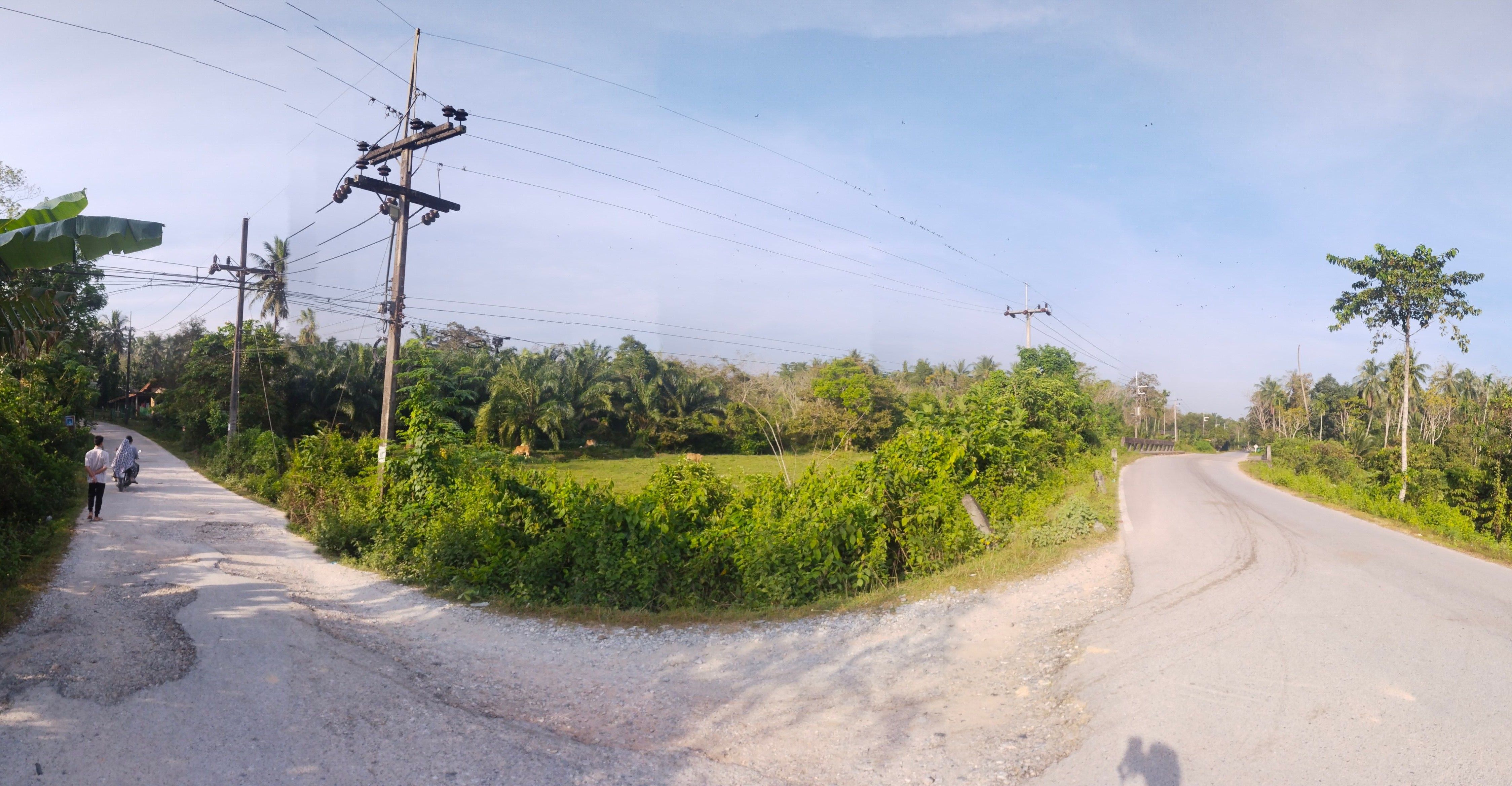ขายที่ดิน ยะลา 1-2-67 ไร่