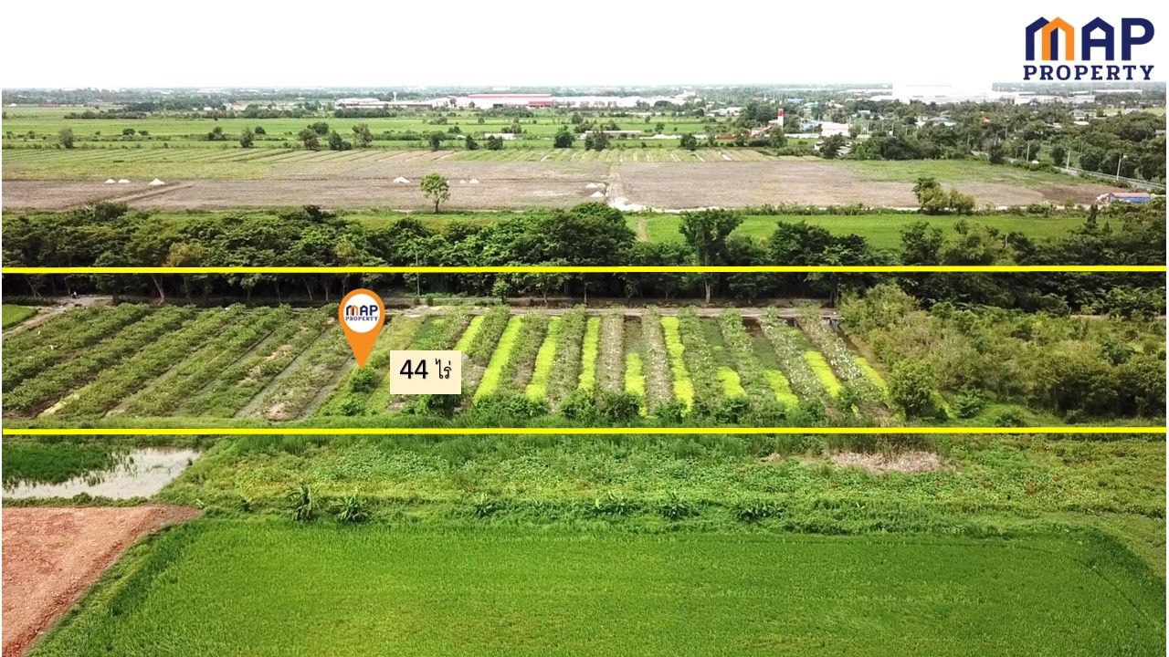 ขายที่ดินสวนเกษตรผสมผสาน  44 ไร่ ติดถนนเลียบ คลอง 13