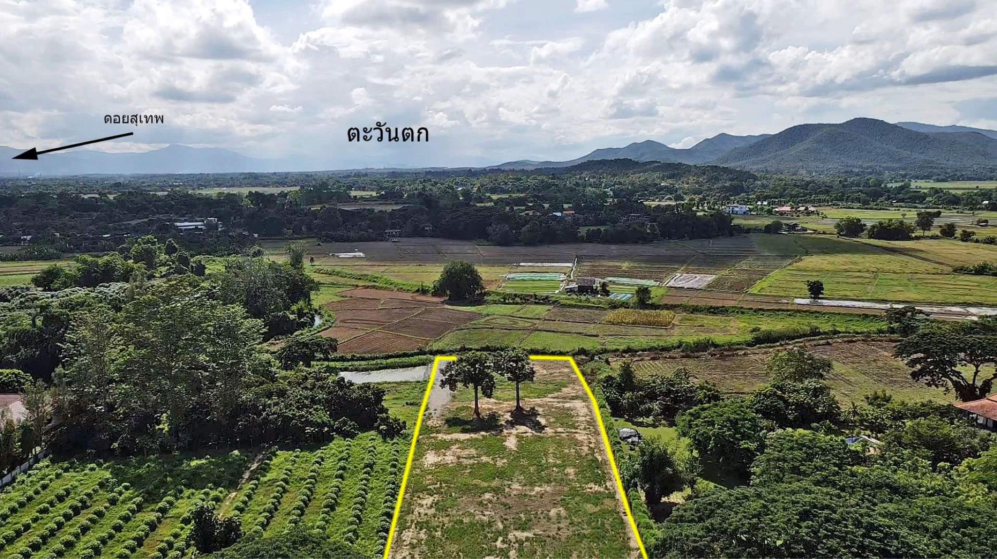 ขายที่ดินเชียงใหม่ จ.เชียงใหม่ อ.ดอยสะเก็ด 3 ไร่