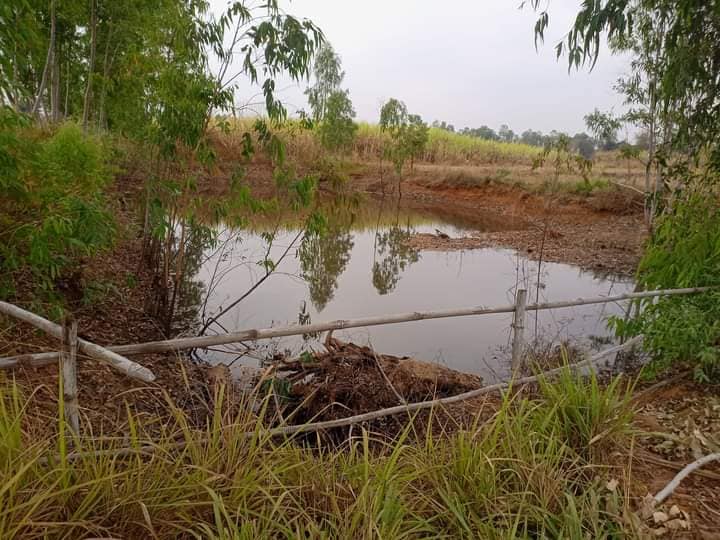 ที่ดินเปล่าแปลงสวย เมืองหนองบัวลำภู 2-3-17.9