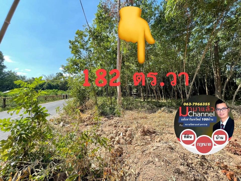ที่ดิน 182 ตร.วา ติดถนนลาดยาง 182 ตรว. อุบลราชธานี