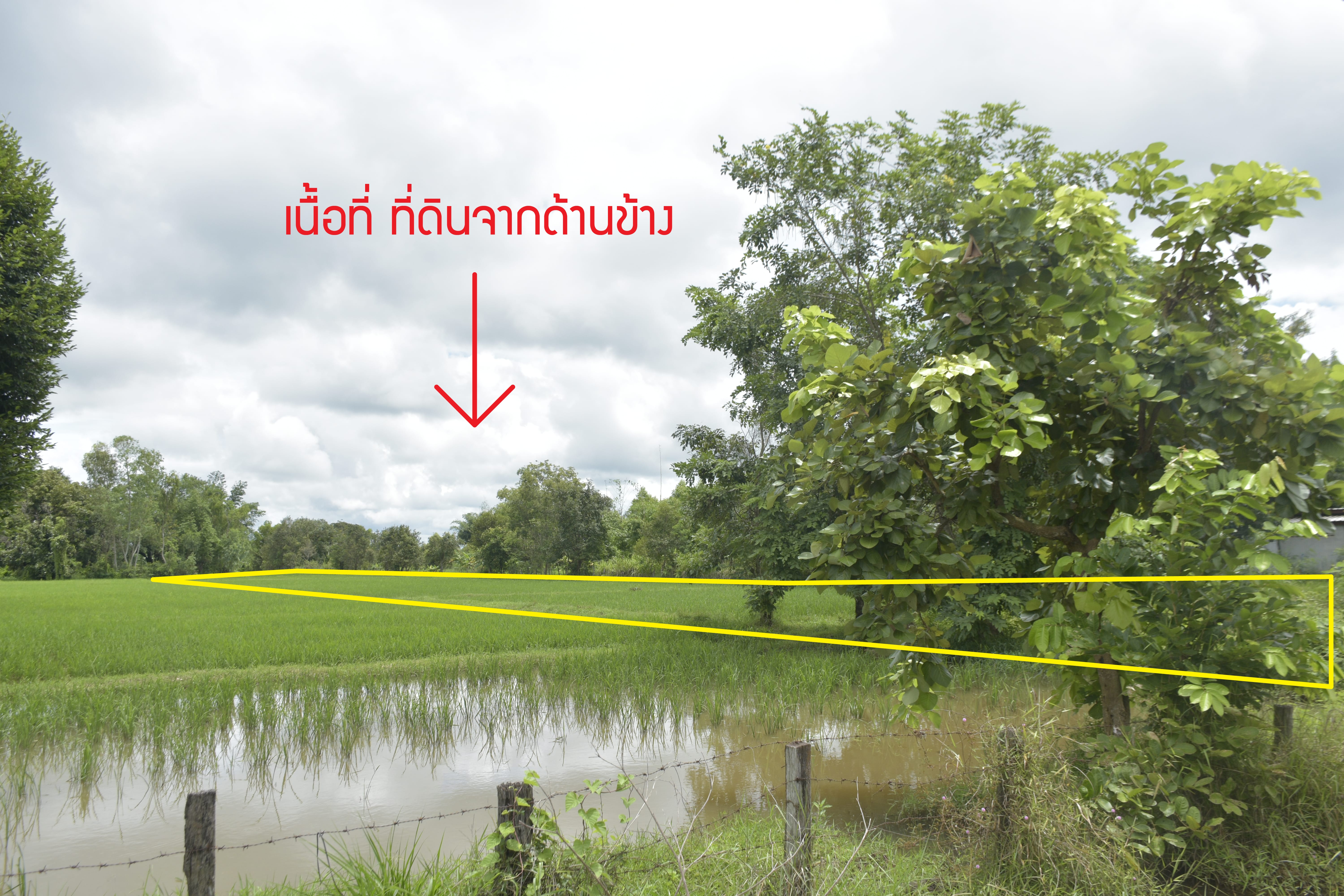 📍ขายที่ดิน อ.อากาศอำนวย จ.สกลนคร ติดถนน 4 เลน ใกล้สี่แยกไฟแดง ทำเลดี