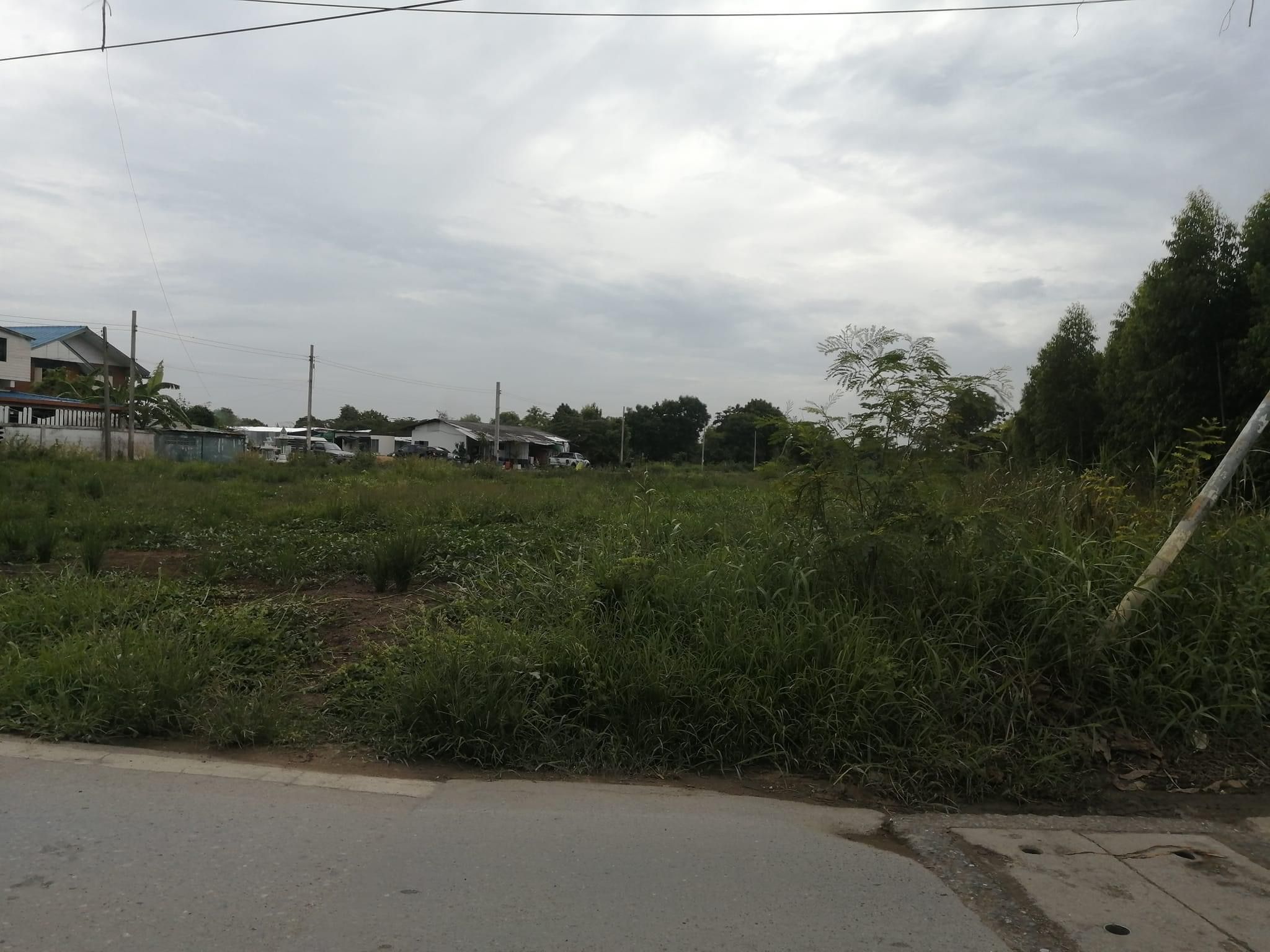 ขายที่ดินบางรักพัฒนา ซอยวัดลาดปลาดุก
