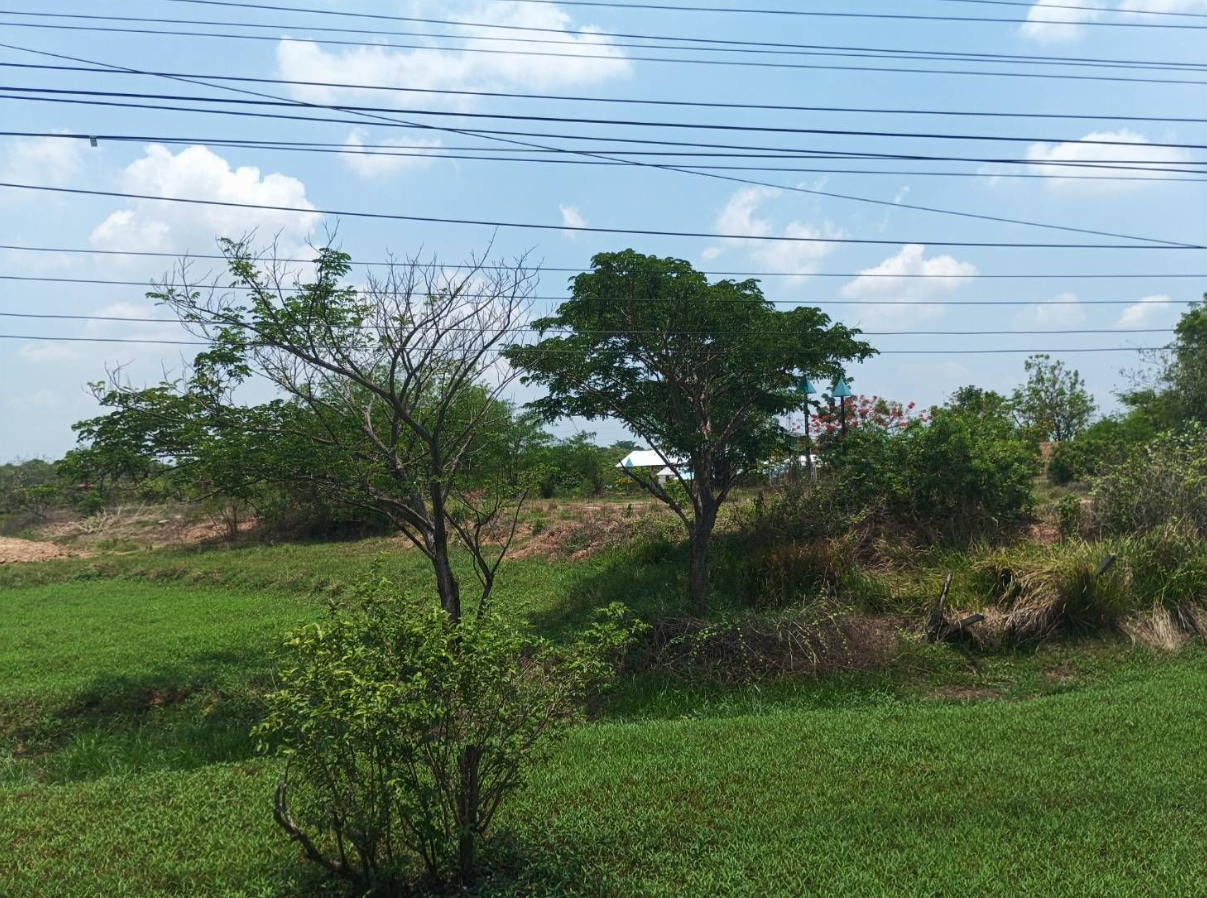 ขายที่ดินเปล่าถมแล้ว 1-0-42 ไร่ ติดถนนสาย ทล.2605 (เมืองพล-ชัยภูมิ)