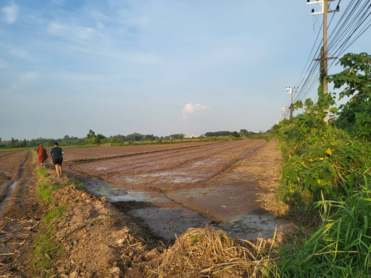 ขายที่ดิน จังหวัดพิจิตร