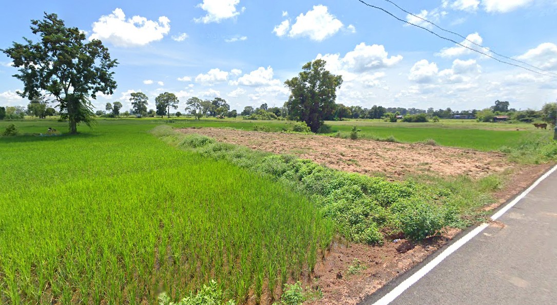 ที่ดินเปล่าแบ่งขายร้อยเอ็ด จ.ร้อยเอ็ด อ.ธวัชบุรี 1-3-50.6 ไร่