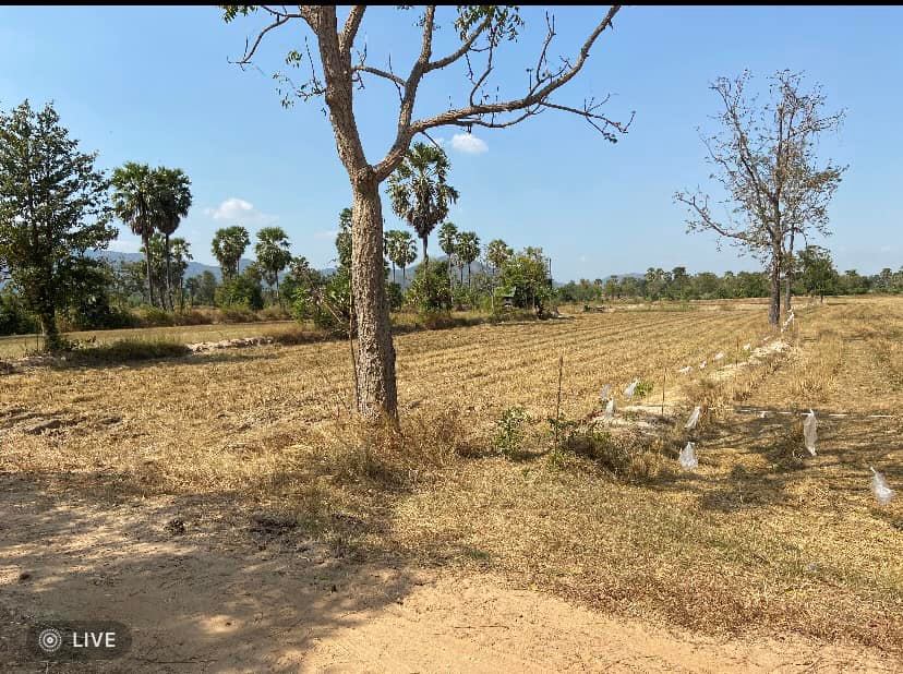 ที่ดินเปล่า บ้านลาด เพชรบุรี 4-1-51.4