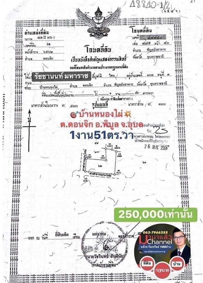 ที่ดิน 1งาน 51 ตร.วา🥇 ติดถนนคอนกรีต2 ด้านกลางชุมชนบ้านหนองไผ่