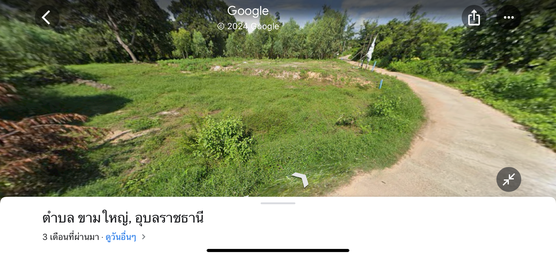 ขายถูก ที่ดินเปล่าเหมาะสร้างบ้าน ขามใหญ่ เมืองอุบล 1งาน 550,000