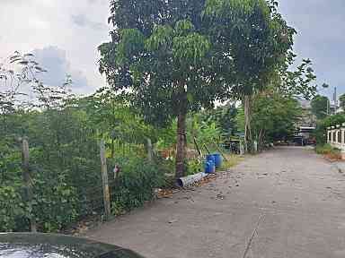 ขายที่ดิน บางใหญ่ นนทบุรี 1-3-31 ไร่