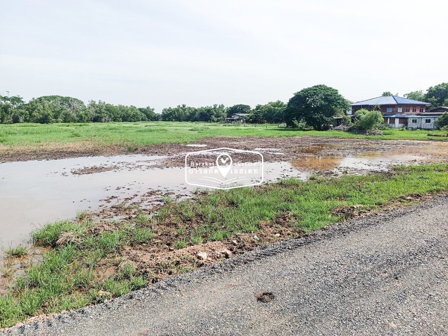ลดสุดๆ ที่ดิน ประชาร่วมใจ 13 (ตาหวาน) แขวงทรายกองดินใต้ เขตคลองสามวา 