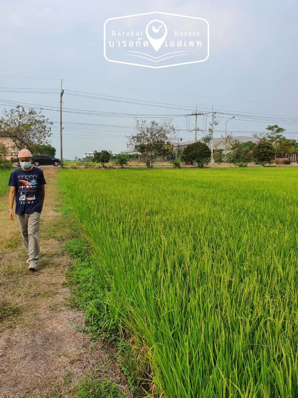 น้าติดถนน หลังติดคลอง ที่สวย เนื้อที่กว่า 6 ไร่ อำเภอบางน้ำเปรี้ยว ฉะเชิงเทรา