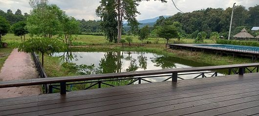 ขายที่ดินพร้อมสิ่งปลูกสร้างเชียงใหม่ รีสอร์ต อำเภอแม่ริม จังหวัดเชียงใหม่ บรรยากาศธรรมชาติติดภูเขา 8-1-18.4 ไร่