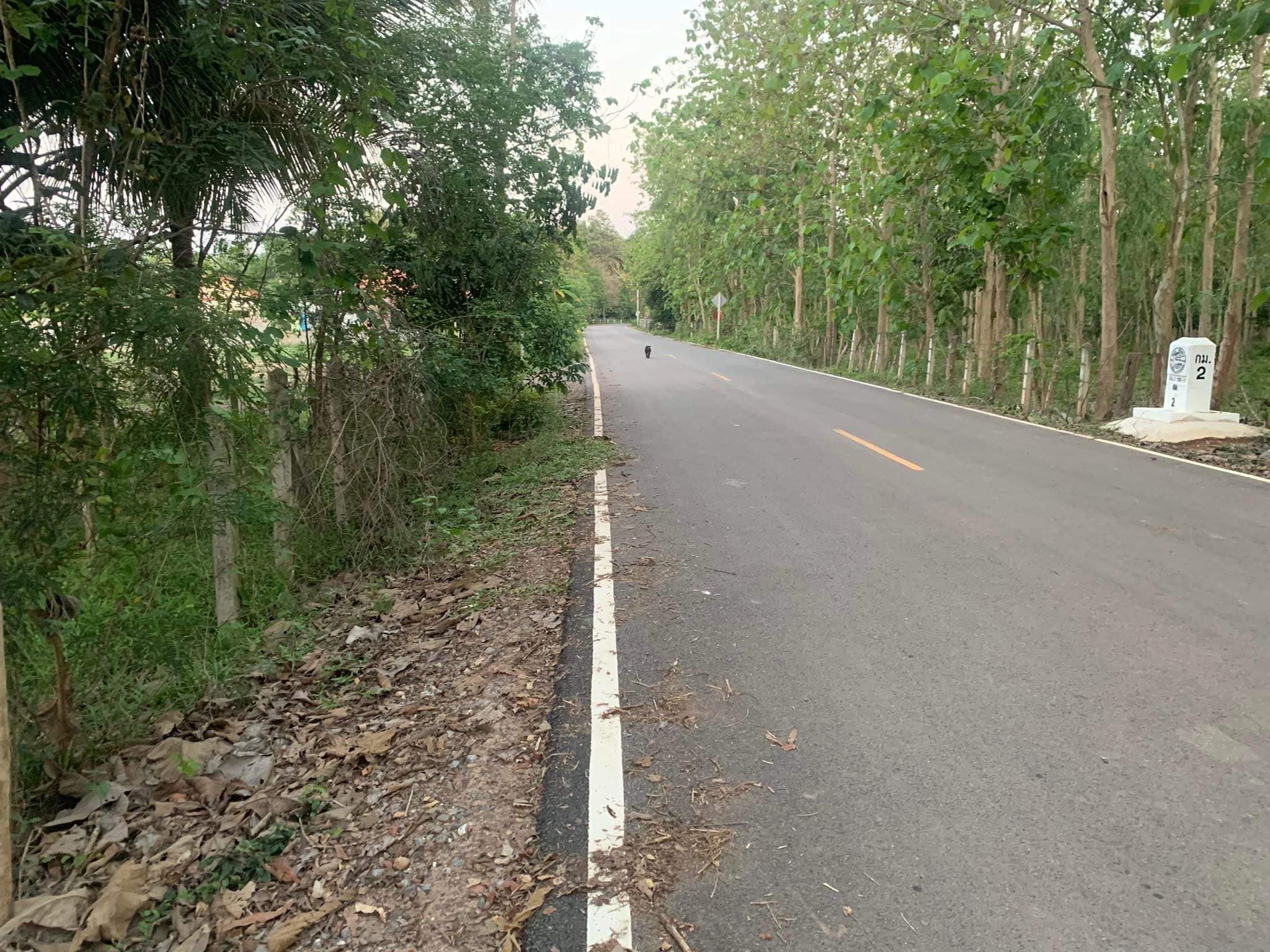 ขายที่ดินสกลนคร 0-1-17