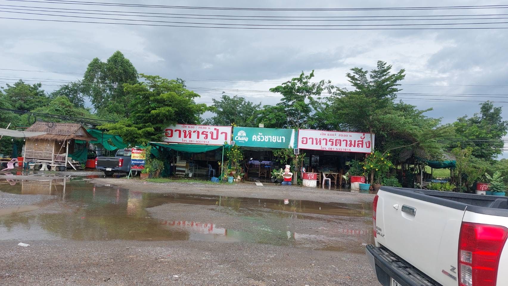 ที่ดินแปลงใหญ่ ใกล้โรงเรียนบ้านหนองเรือ เก้าเลี้ยว นครสวรรค์  80-3-33.6